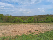 6.2 Acre Wooded Land For Sale Near Gays Mills, WI