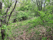 6.2 Acre Wooded Land For Sale Near Gays Mills, WI