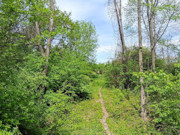 6.2 Acre Wooded Land For Sale Near Gays Mills, WI
