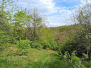 6.2 Acre Wooded Land For Sale Near Gays Mills, WI