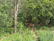 6.2 Acre Wooded Land For Sale Near Gays Mills, WI