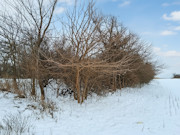 7-Acre Ideal Hobby Farm or Getaway Near Gays Mills, WI