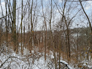 7-Acre Ideal Hobby Farm or Getaway Near Gays Mills, WI