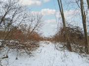 7-Acre Ideal Hobby Farm or Getaway Near Gays Mills, WI