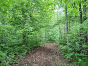 Affordable 3-Acre Buildable Wooded Property Near Silver Cliff, WI