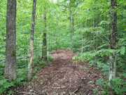 Affordable 3-Acre Buildable Wooded Property Near Silver Cliff, WI