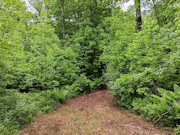 Buildable 3-Acre Wooded Property for Sale in Marinette County, WI Buildable 3-Acre Wooded Property for Sale in Marinette County, WI