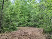 Buildable 3-Acre Wooded Property for Sale in Marinette County, WI Buildable 3-Acre Wooded Property for Sale in Marinette County, WI