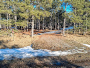 5.2 Acres Near Lake Petenwell - Buildable with Well and Driveway