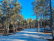 5.2 Acres Near Lake Petenwell - Buildable with Well and Driveway