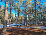 5.2 Acres Near Lake Petenwell - Buildable with Well and Driveway