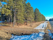 5.2 Acres Near Lake Petenwell - Buildable with Well and Driveway