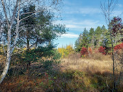 30 Acres with Trout Stream and State Land Access Near Tomahawk, WI