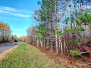 30 Acres with Trout Stream and State Land Access Near Tomahawk, WI