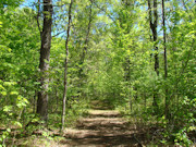 6+ Acres Land for Sale Near Tomahawk, WI