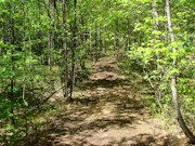 6+ Acres Land for Sale Near Tomahawk, WI