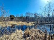 33 Acres of Prime Recreational Land for Sale in Oneida County, WI