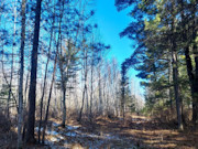 33 Acres of Prime Recreational Land for Sale in Oneida County, WI