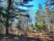 33 Acres of Prime Recreational Land for Sale in Oneida County, WI