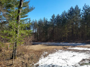 Tomahawk, WI Land for Sale Near Lake Nokomis