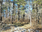 Tomahawk, WI Land for Sale Near Lake Nokomis