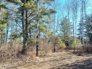 Tomahawk, WI Land for Sale Near Lake Nokomis