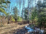 Tomahawk, WI Land for Sale Near Lake Nokomis