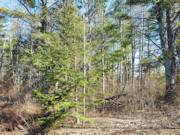 Tomahawk, WI Land for Sale Near Lake Nokomis