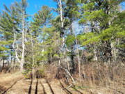 Tomahawk, WI Land for Sale Near Lake Nokomis