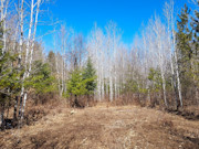 2 Acres of Oneida County Wooded Land for Sale Near Burrows Lake