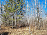 2 Acres of Oneida County Wooded Land for Sale Near Burrows Lake