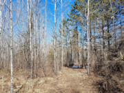 2 Acres of Oneida County Wooded Land for Sale Near Burrows Lake