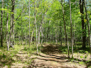 3.5 Acres For Sale Near Lake Nokomis in Oneida County, WI