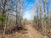 32 Acres of Secluded Land with Trout Stream Near Tomahawk, WI
