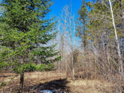 32 Acres of Secluded Land with Trout Stream Near Tomahawk, WI
