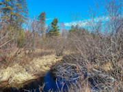 32 Acres of Secluded Land with Trout Stream Near Tomahawk, WI