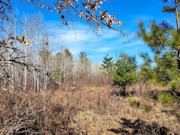 32 Acres of Secluded Land with Trout Stream Near Tomahawk, WI
