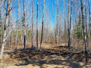 5 Acres of Tomahawk, WI Land for Sale Near State Forest
