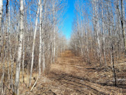 5 Acres of Tomahawk, WI Land for Sale Near State Forest