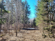 5+ Acres of Buildable Land for Sale Near Tomahawk, WI