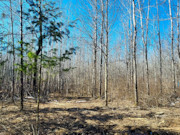 5+ Acres of Buildable Land for Sale Near Tomahawk, WI