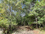 1.5 Acres Buildable Wooded Land Close to Lakes, Trails & Public Land