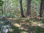1.5 Acres Buildable Wooded Land Close to Lakes, Trails & Public Land 1.5 Acres Buildable Wooded Land Close to Lakes, Trails & Public Land