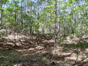 1.5 Acres Buildable Wooded Land Close to Lakes, Trails & Public Land 1.5 Acres Buildable Wooded Land Close to Lakes, Trails & Public Land
