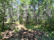 1.5 Acres Buildable Wooded Land Close to Lakes, Trails & Public Land 1.5 Acres Buildable Wooded Land Close to Lakes, Trails & Public Land