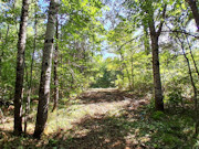 1.5 Acres Buildable Wooded Land Close to Lakes, Trails & Public Land 1.5 Acres Buildable Wooded Land Close to Lakes, Trails & Public Land