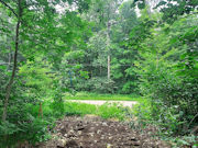 2-Acres Wooded Land near Lake Lucerne in Northern WI!