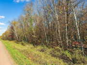 5 Acres for Sale Near Prentice WI - Buildable