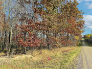 5-Acre Buildable Land for Sale Near Prentice WI