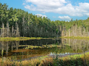 View the New Listing
